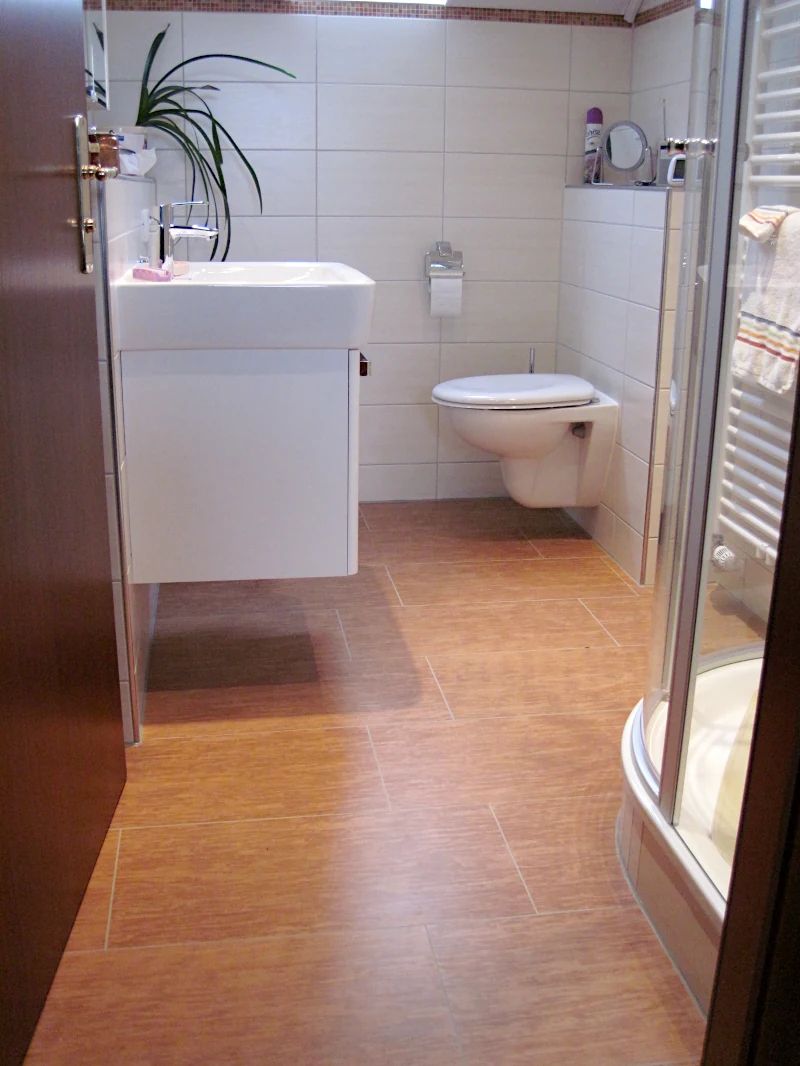 Bad mit Dusche, WC und Waschtisch Bad mit Dusche, WC und Waschtisch